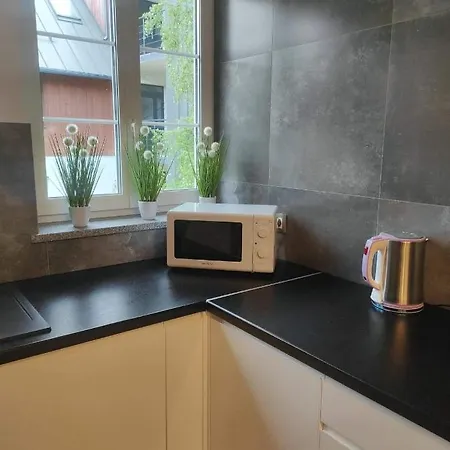 Apartament Gorny Apartment