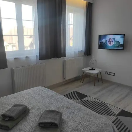 아파트 Apartament Gorny 카르파츠